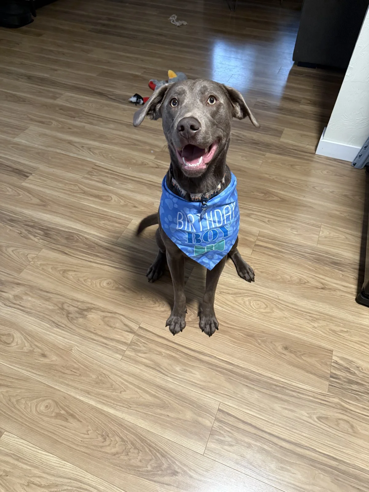 Alaska Adoption Services Waiting Families12.jpeg