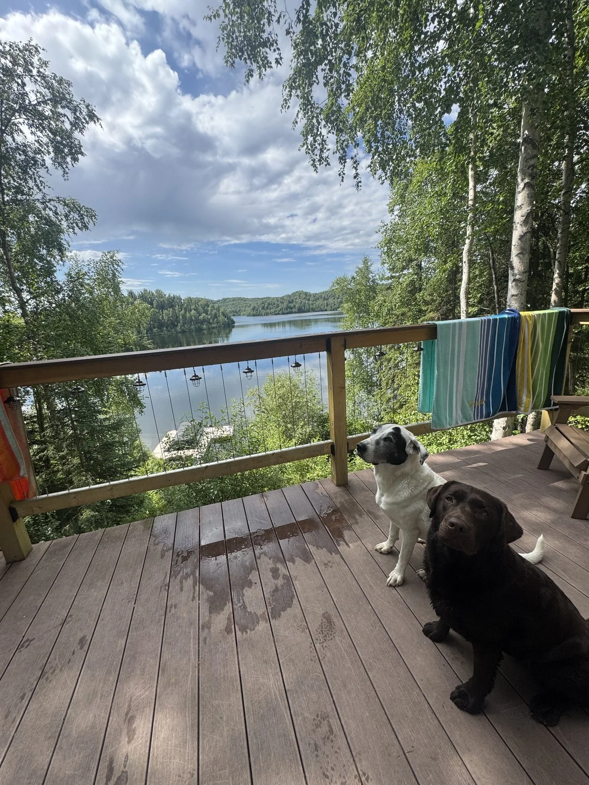 Alaska Adoption Services Waiting Family15.jpeg