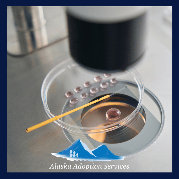 Donating My Embryos in Alaska: How Embryo Donation Works with Alaska Adoption Services