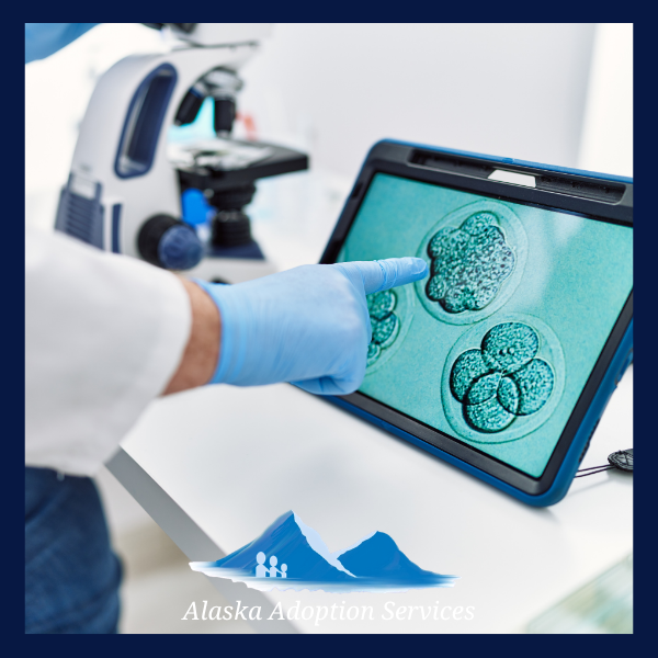 Adopting an Embryo in Alaska: Eligibility, Home Study, Matching, and What to Expect