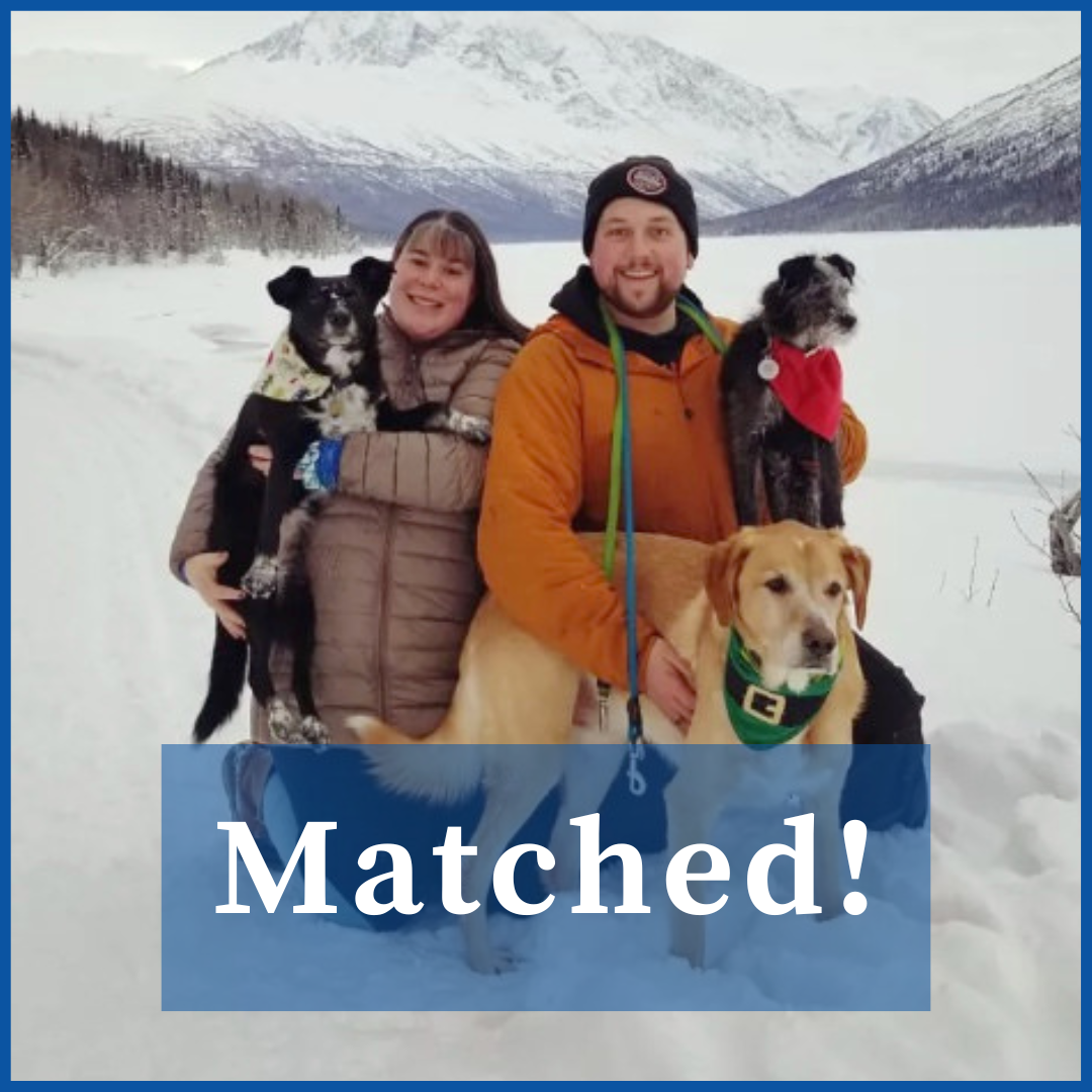 Matched! (31).png