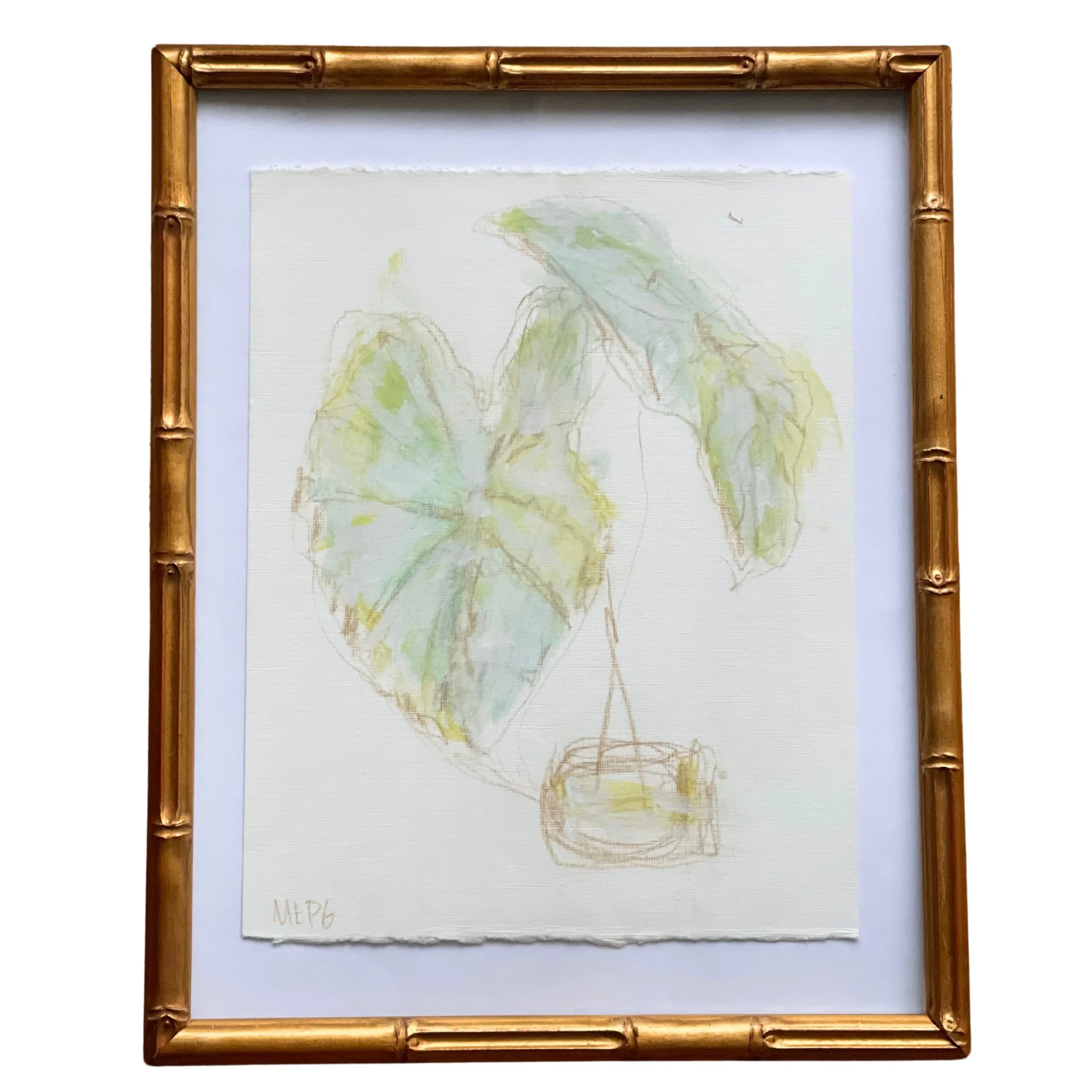 CALADIUM IV
*SOLD