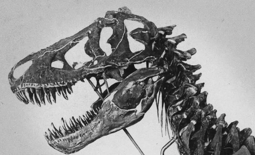 EXPLORING AI IN MUSEUM SPACES