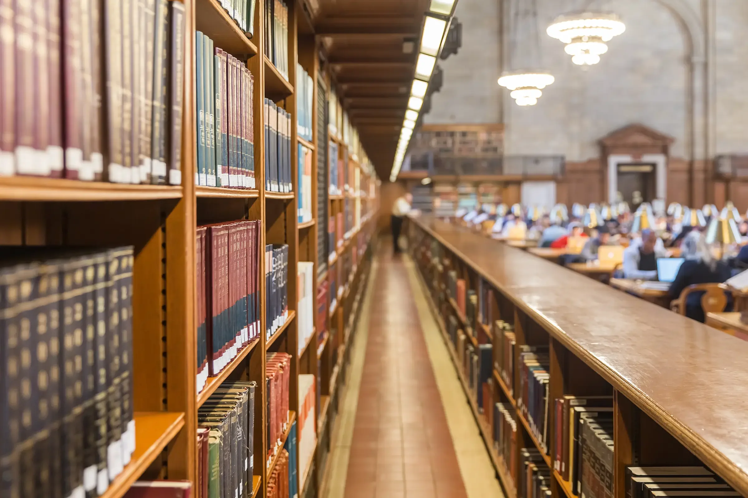 reference-library-interior.webp