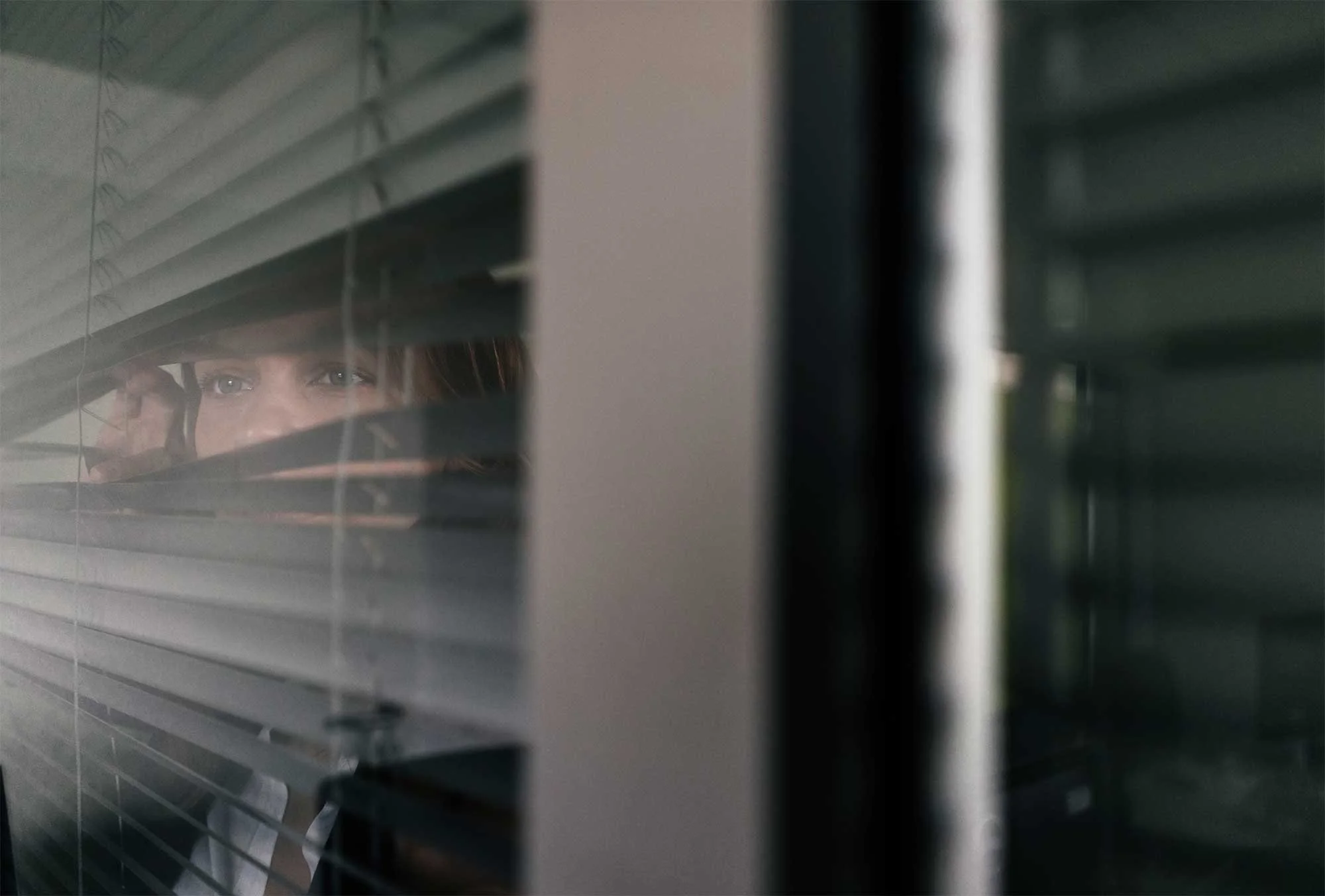 looking-out-window-for-mapp-violators.jpg