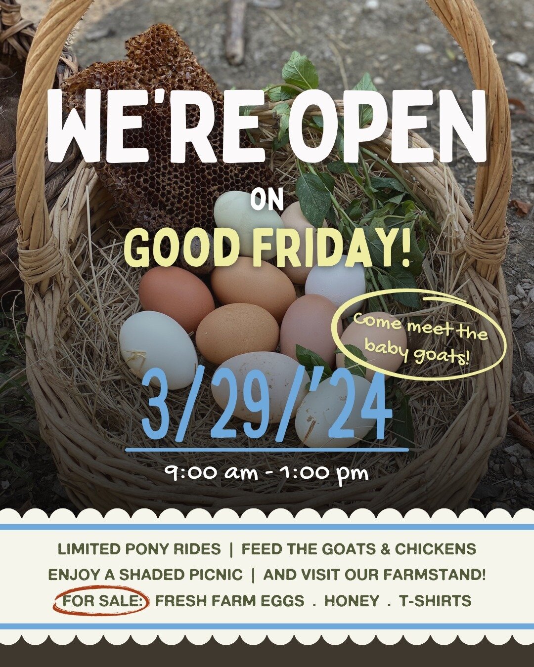 We are OPEN this Friday, 3/29! Join us between 9 a.m. and 1 p.m. for a family-friendly day on the farm. Limited Pony Rides and Animal Feed Cups will be available for purchase upon arrival. See you there, friends!

ATTENTION: Sugar Roots Farm will be 