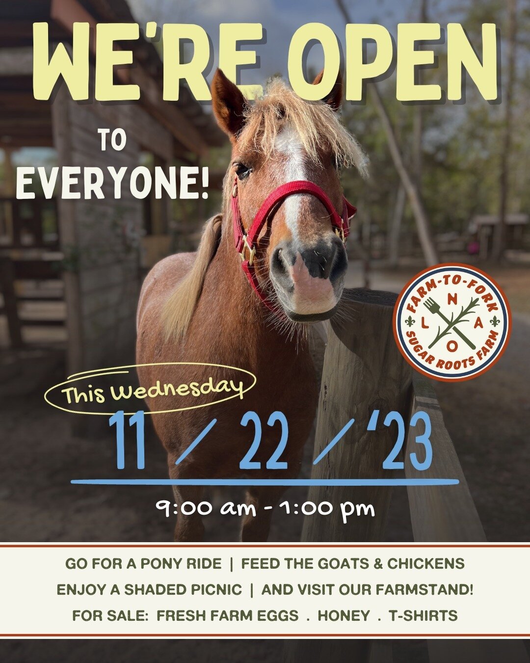 We're opening our gates to the public this Wednesday, Nov. 22nd! Join us between 9am - 1pm for a fun day on the farm. Pony rides and animal feed cups will be available to purchase upon arrival.

#NOLA #Farm #nonprofit