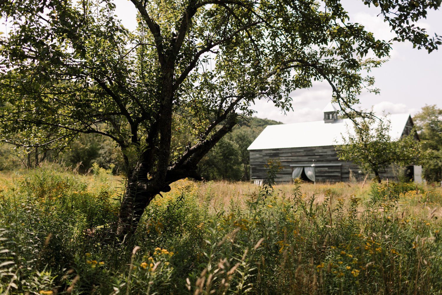 Handsome-Hollow-Catskills-wedding-photographer-01.jpg