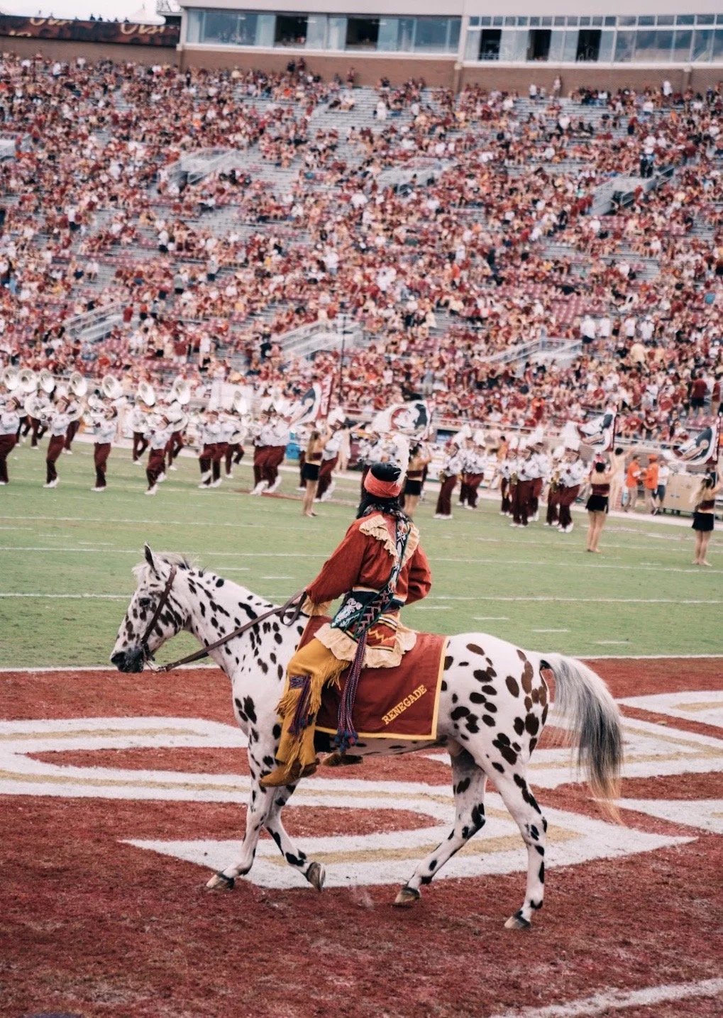 dfgsdfg (43 of 1).jpeg