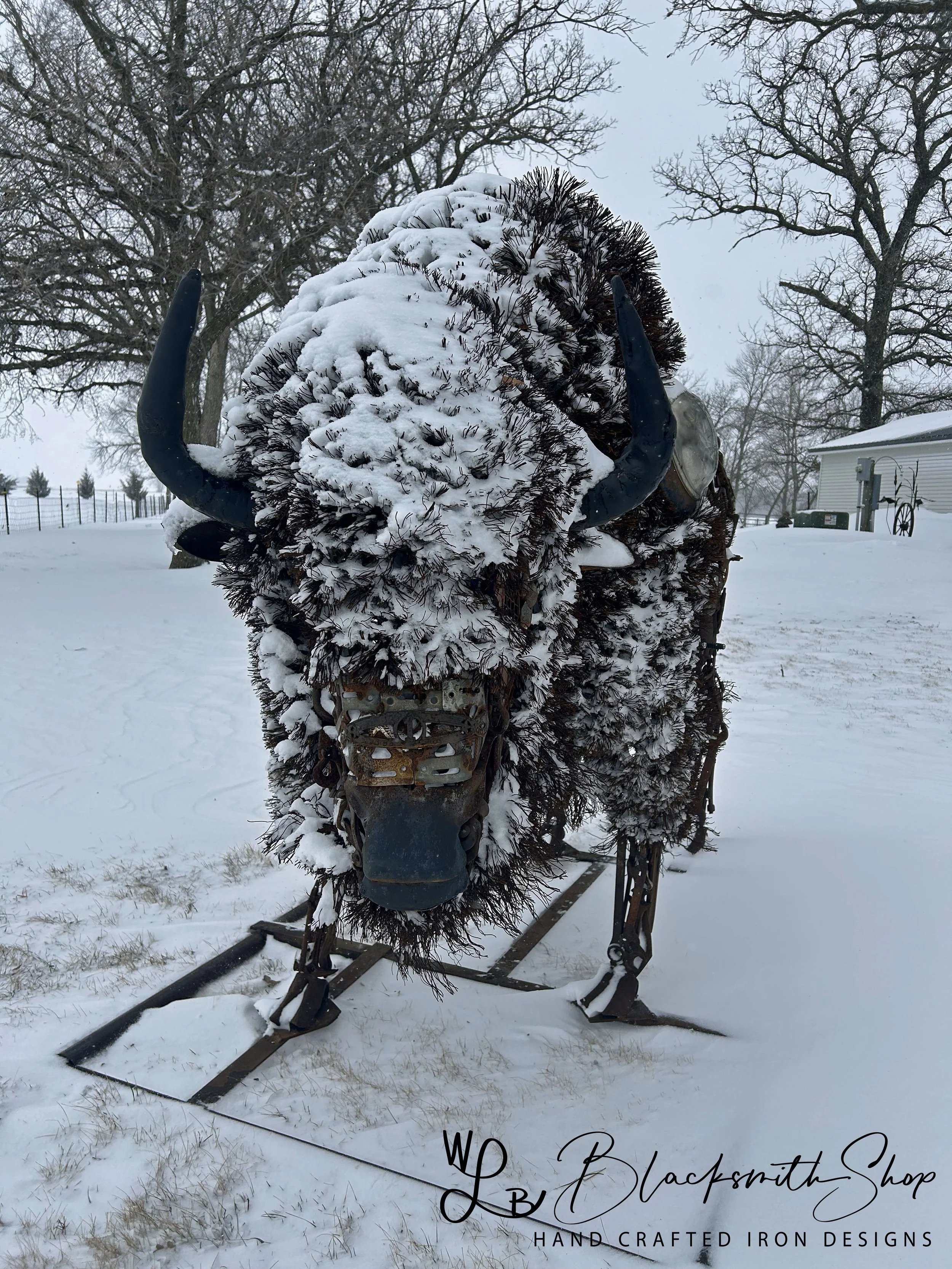 Winter Tatonka 1.jpg