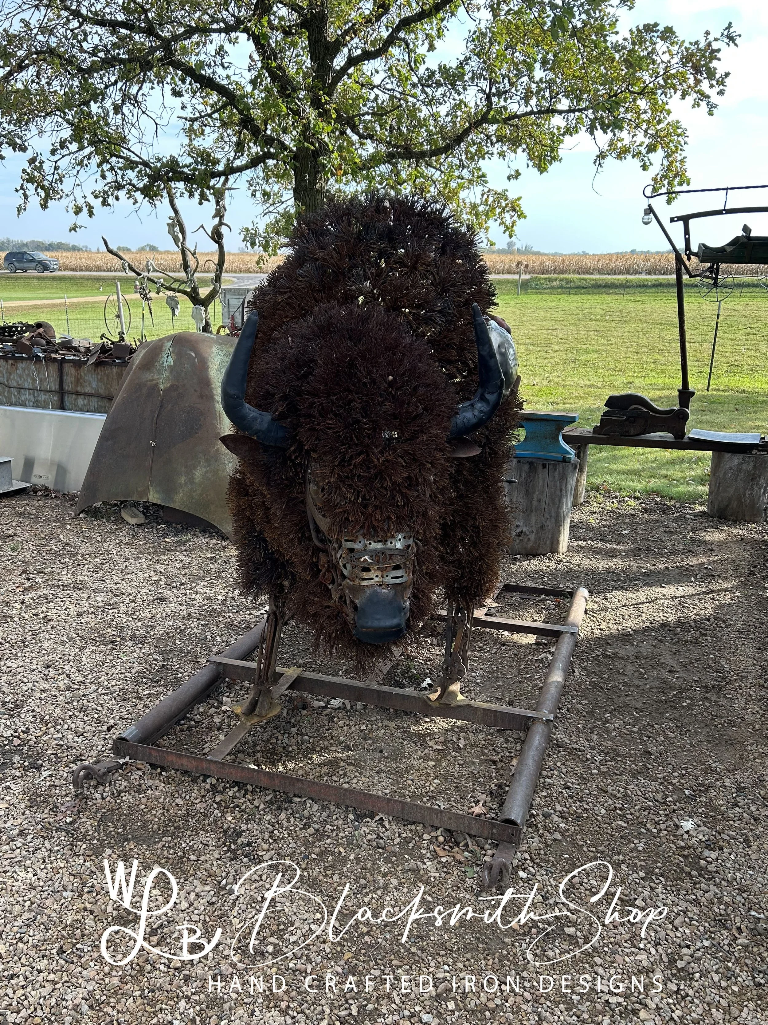 Tatanka Forward.jpg