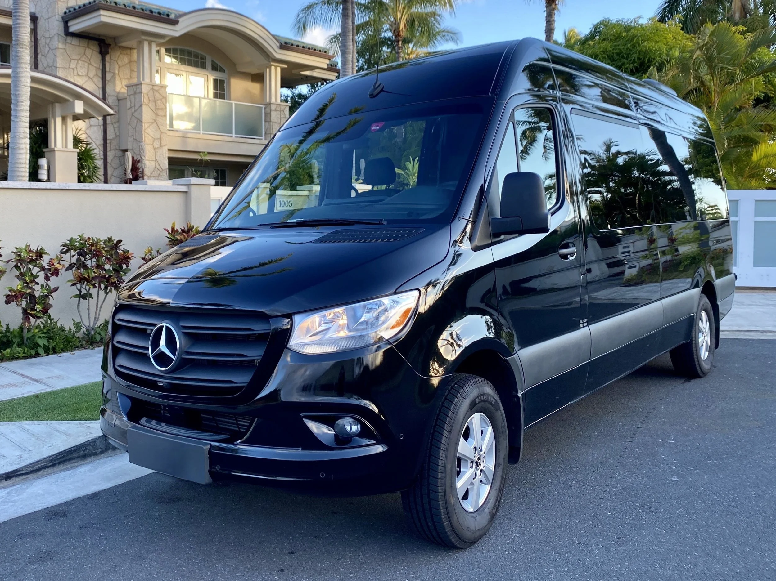 Business Van