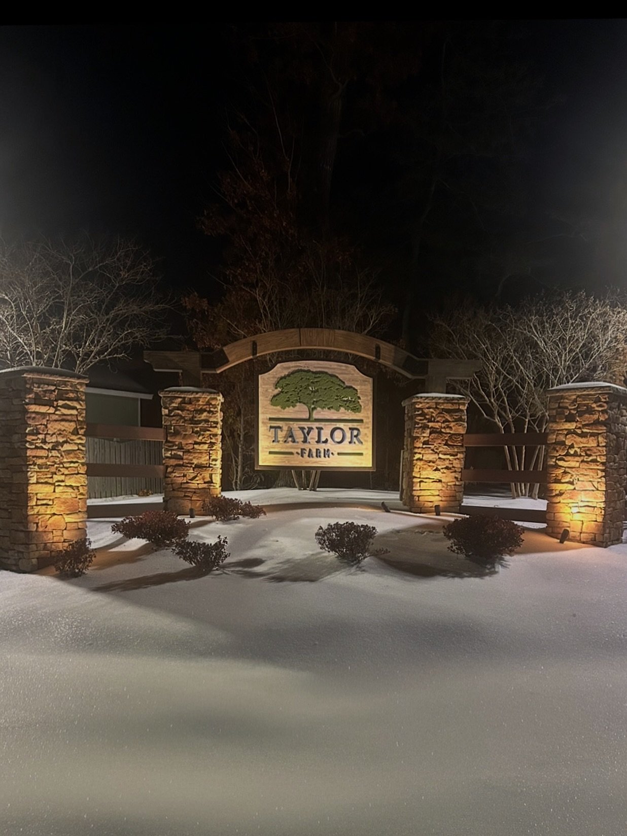 Hoping that everyone is staying safe and warm during these snowy days ❄️⛄️