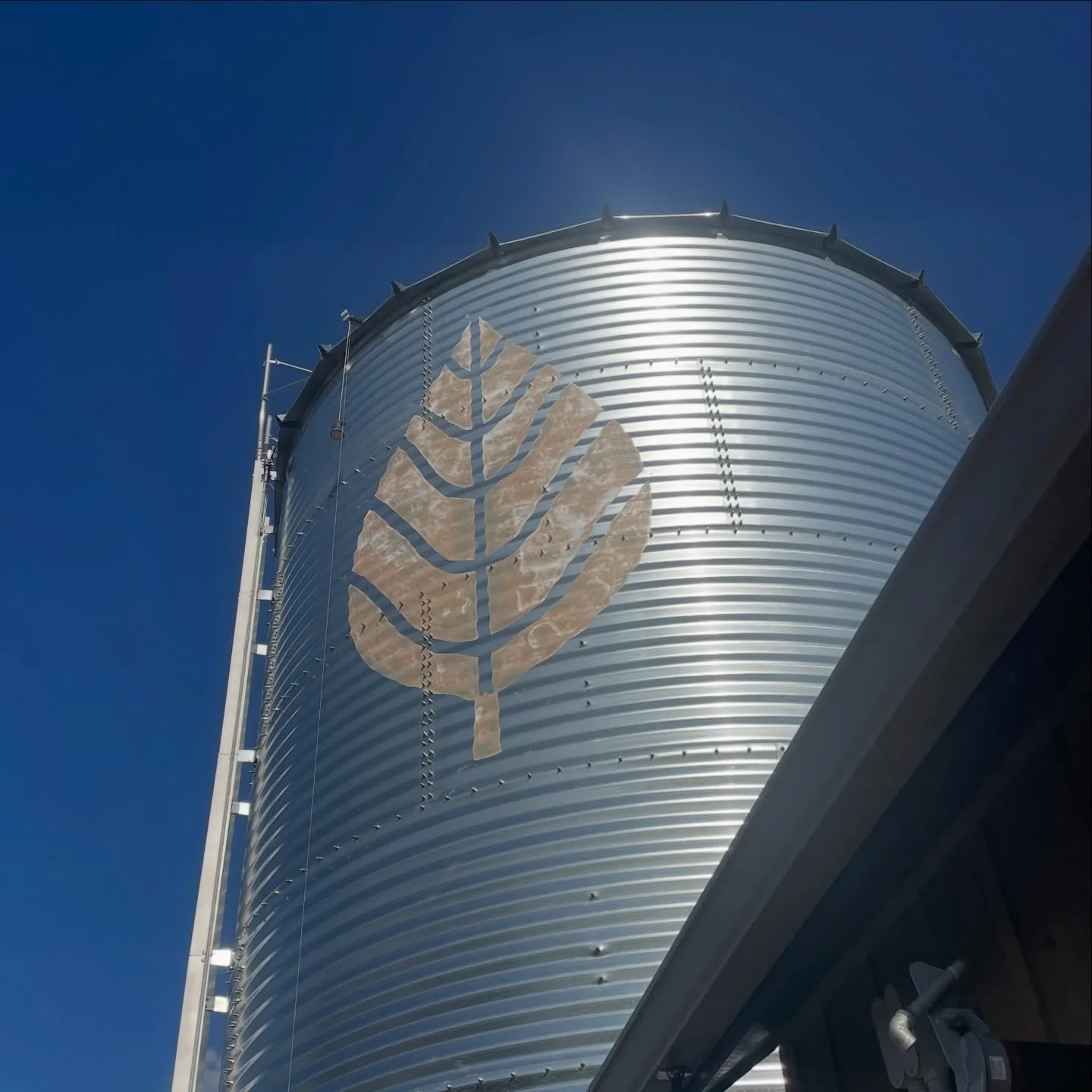 Yesterday we painted this logo on the side of a silo and it turned out great!