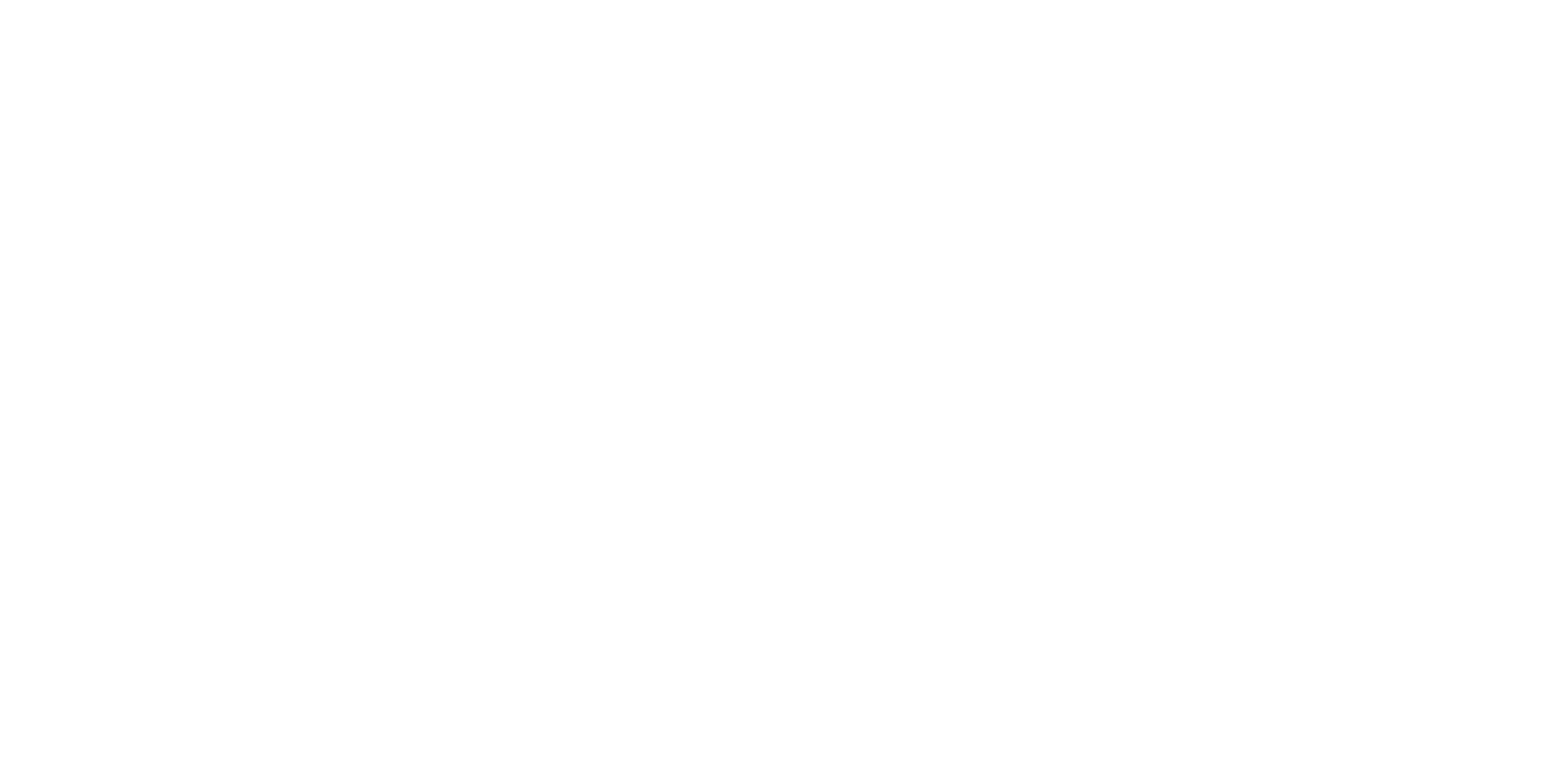 Allan Chemical Corporation