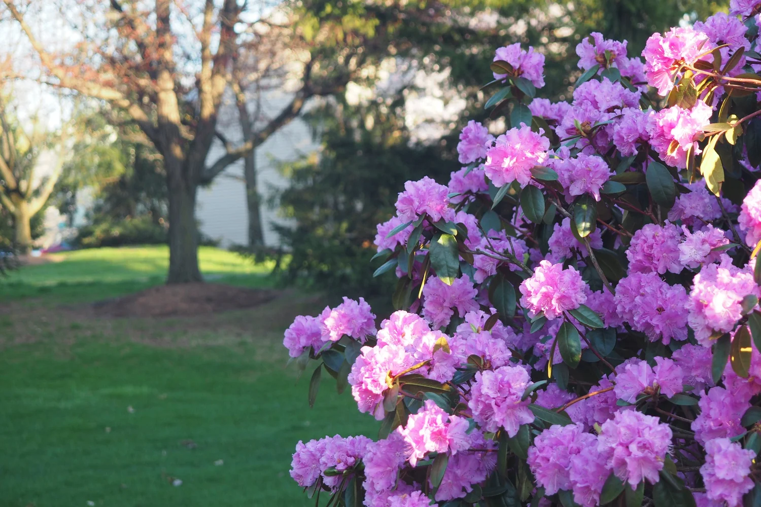 FAQs 2 — Gwynedd Pointe Homeowners Association