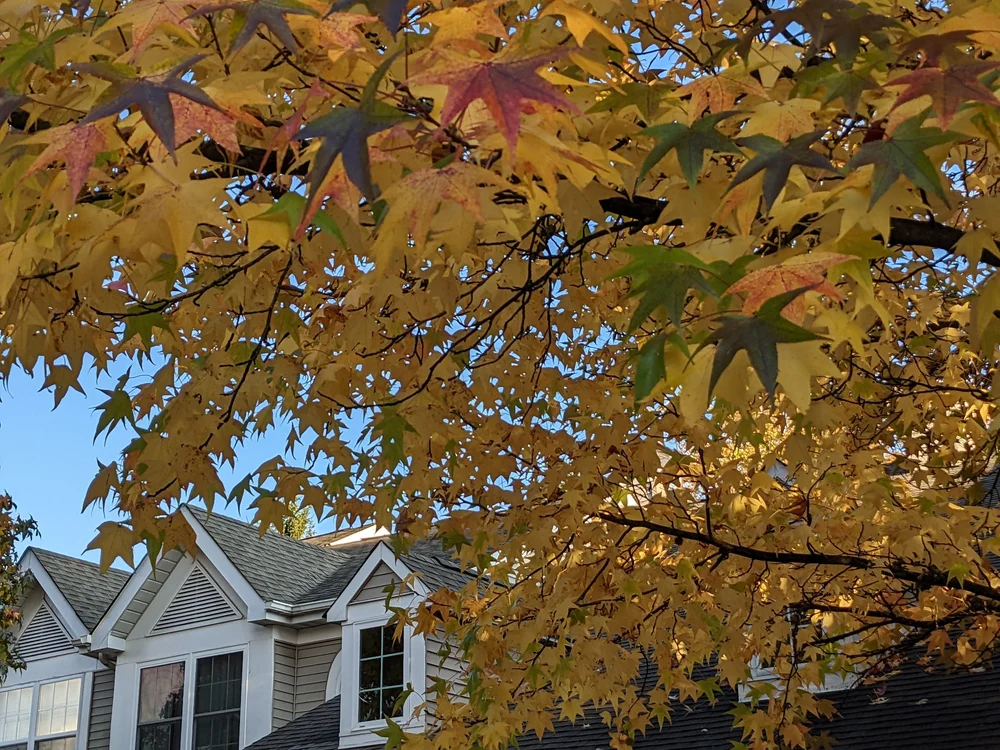 Services — Gwynedd Pointe Homeowners Association