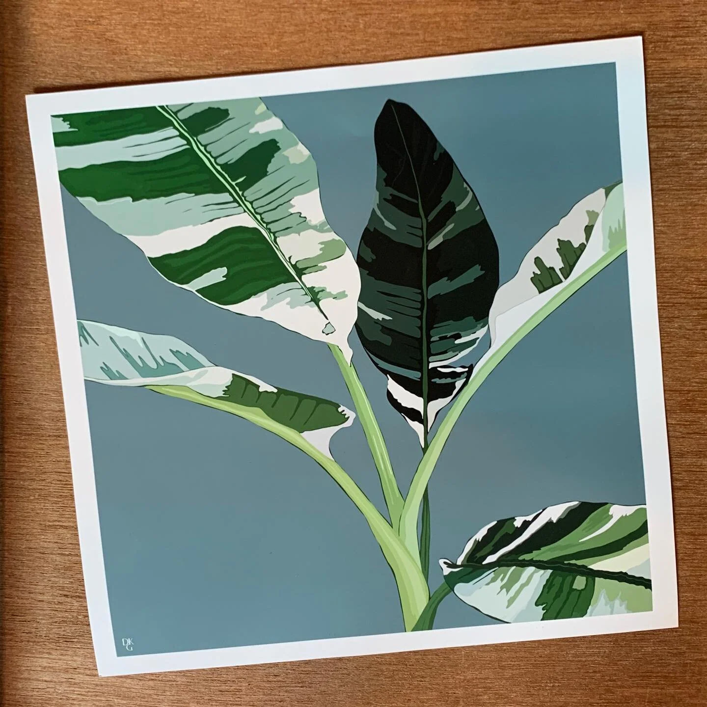 playing with prints 🌱