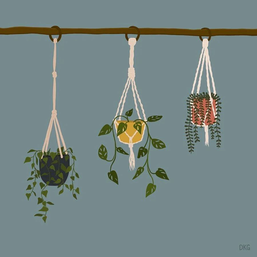 🌱🌿🌱🌿