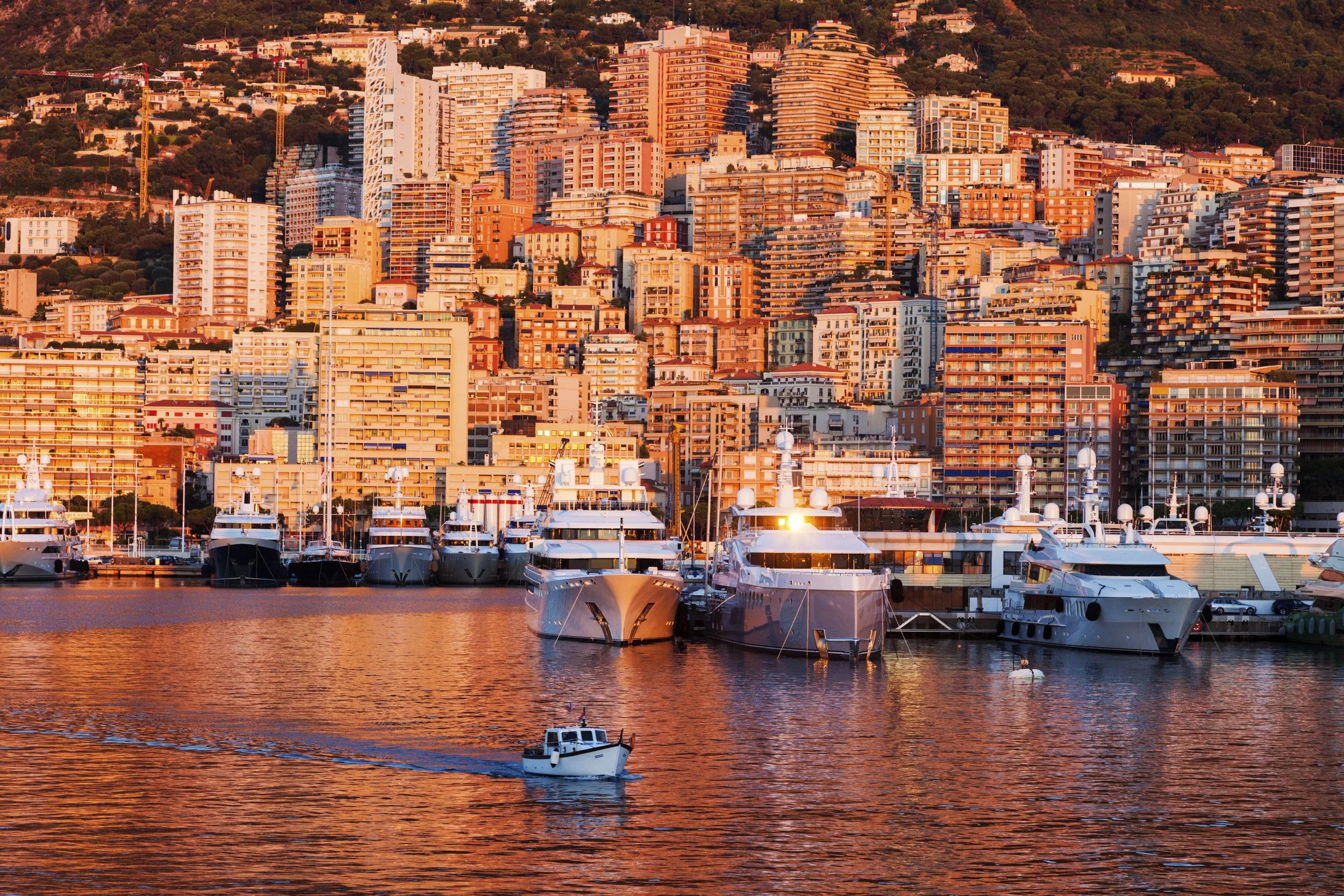 MYS 2026.jpeg