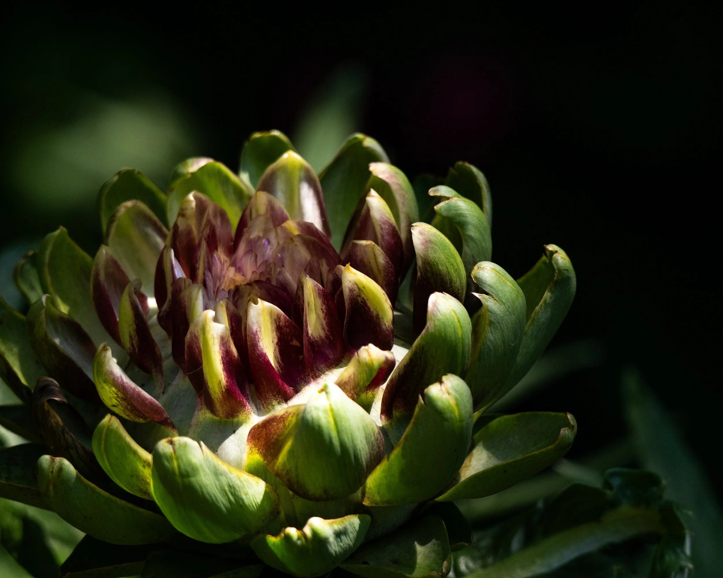 070126-photo trip-wilmington-44.jpg