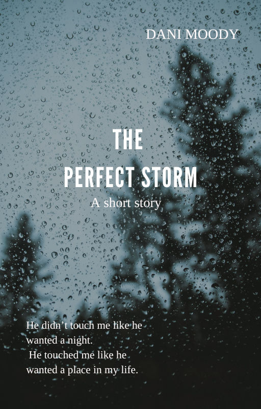 The Perfect Storm by Dani Moody.png