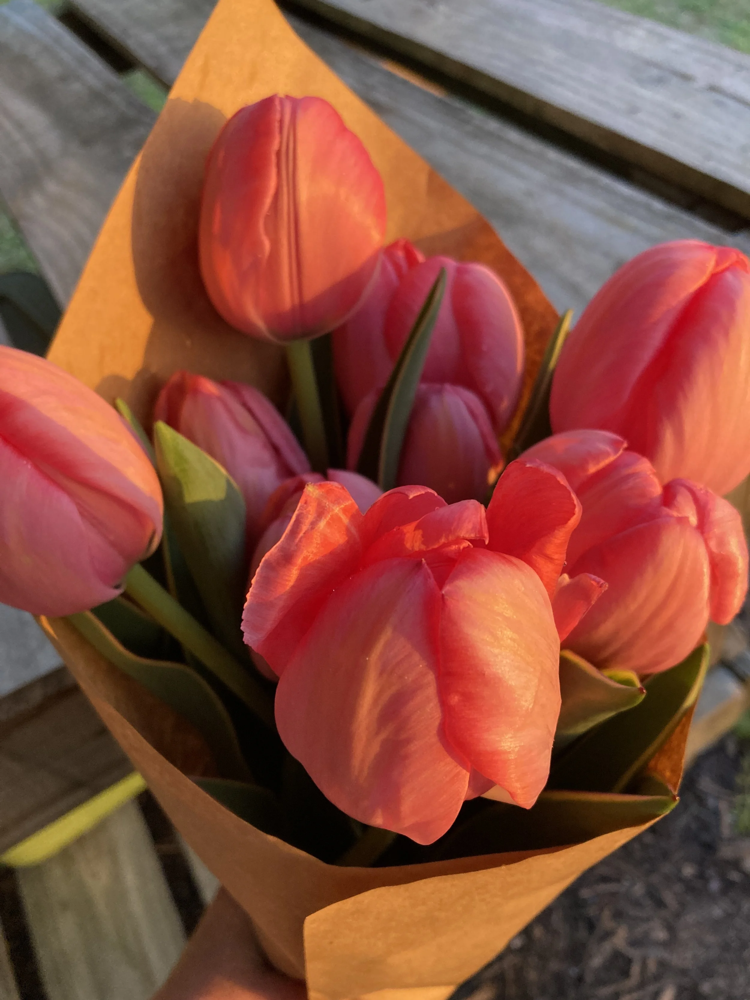 Tulips for wedding bouquet