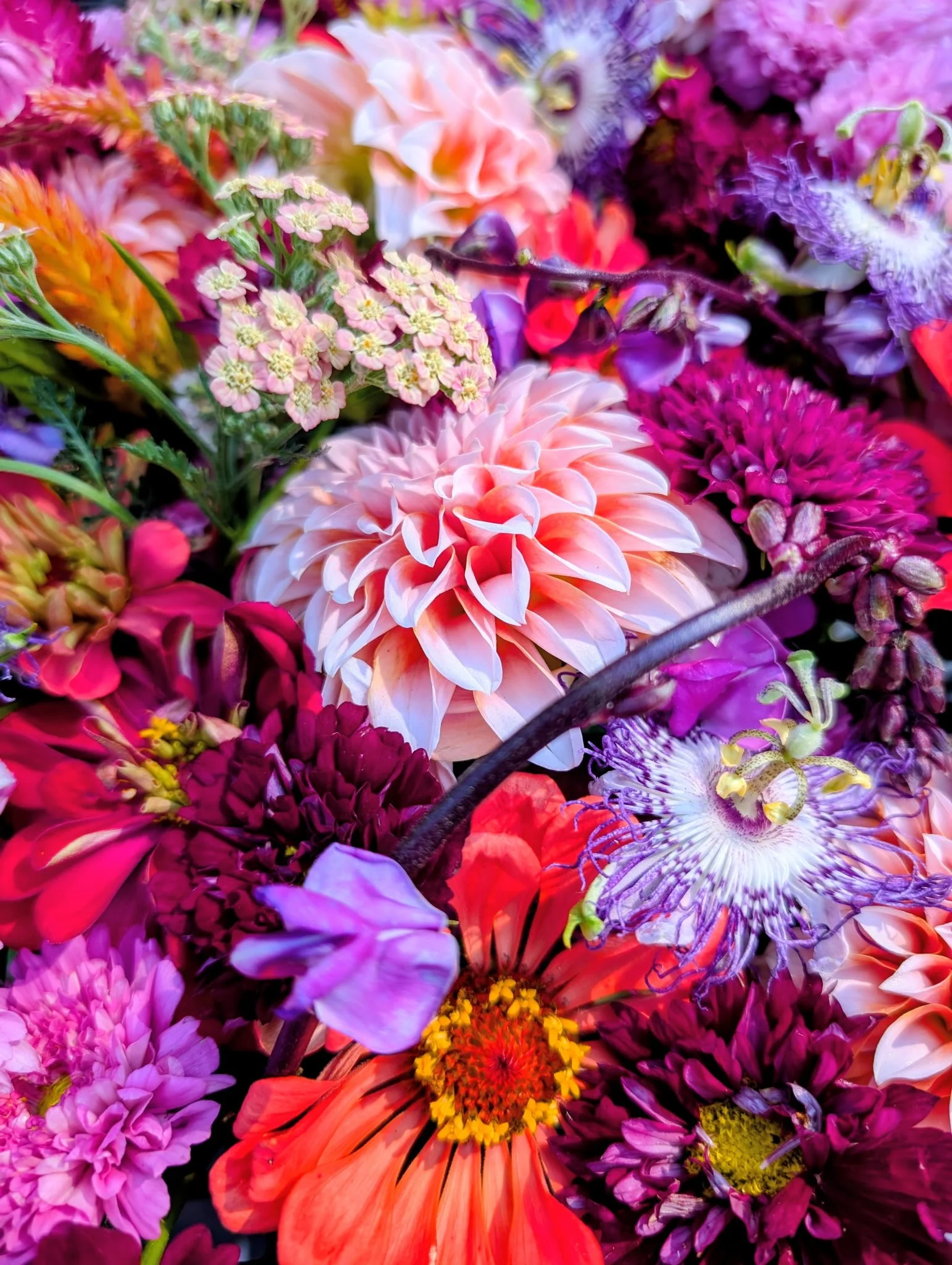 Vibrant locally grown flowers
