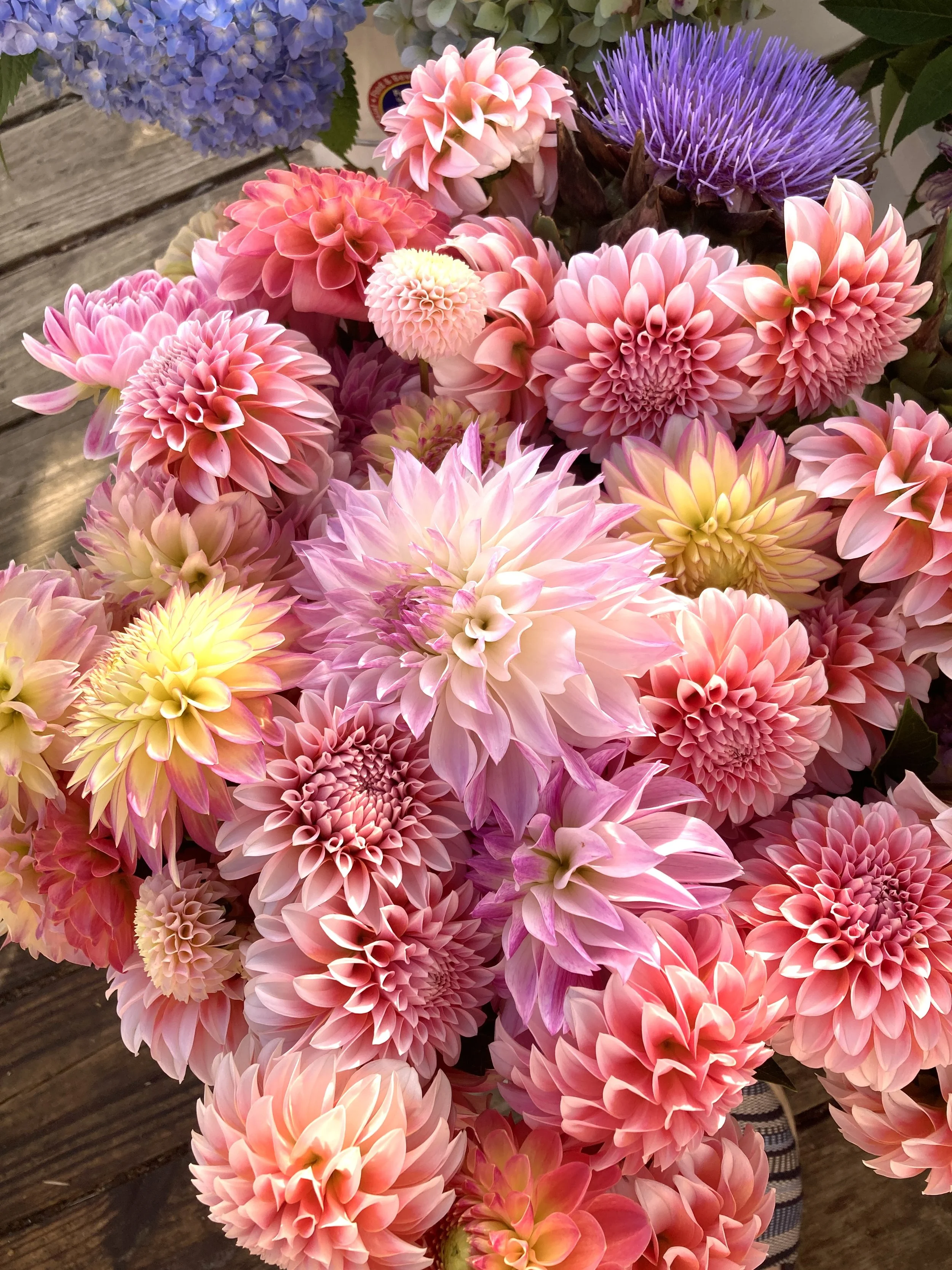 Dahlia for wedding flowers