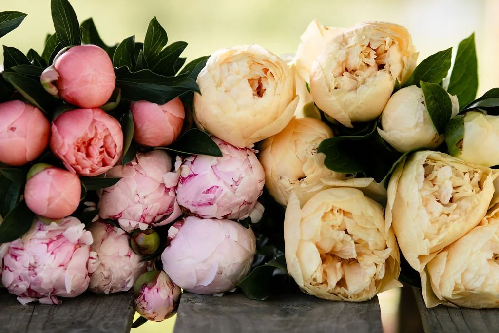 Full-Service vs. A La Carte Wedding Flowers: How to Know What’s Right for You