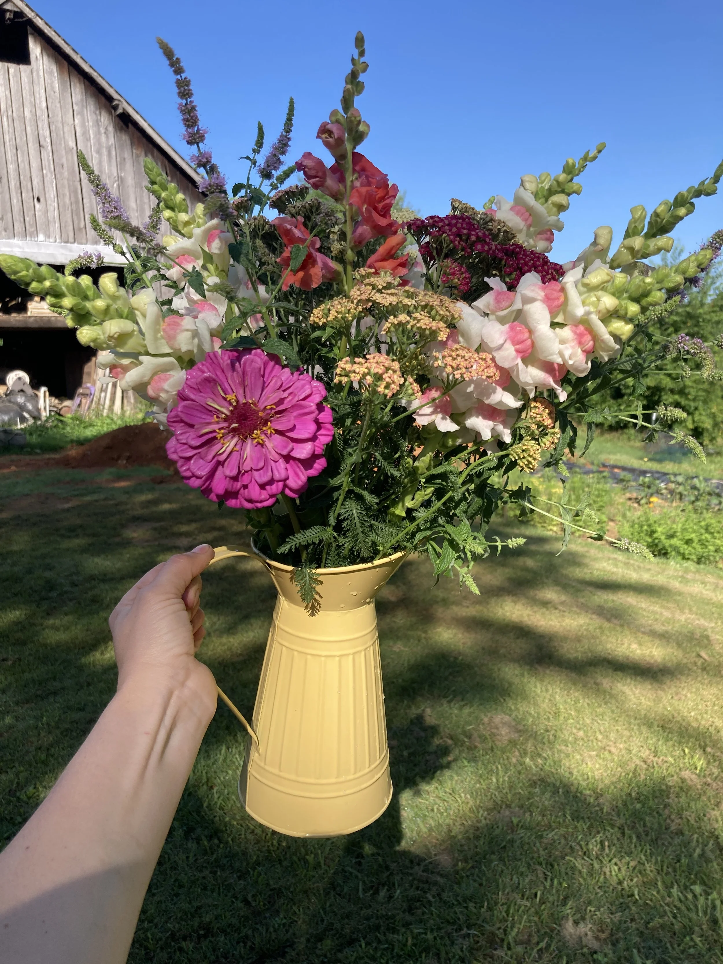 Pitcher full of u-pick, pick your own, flowers in front of an old tobacco barn