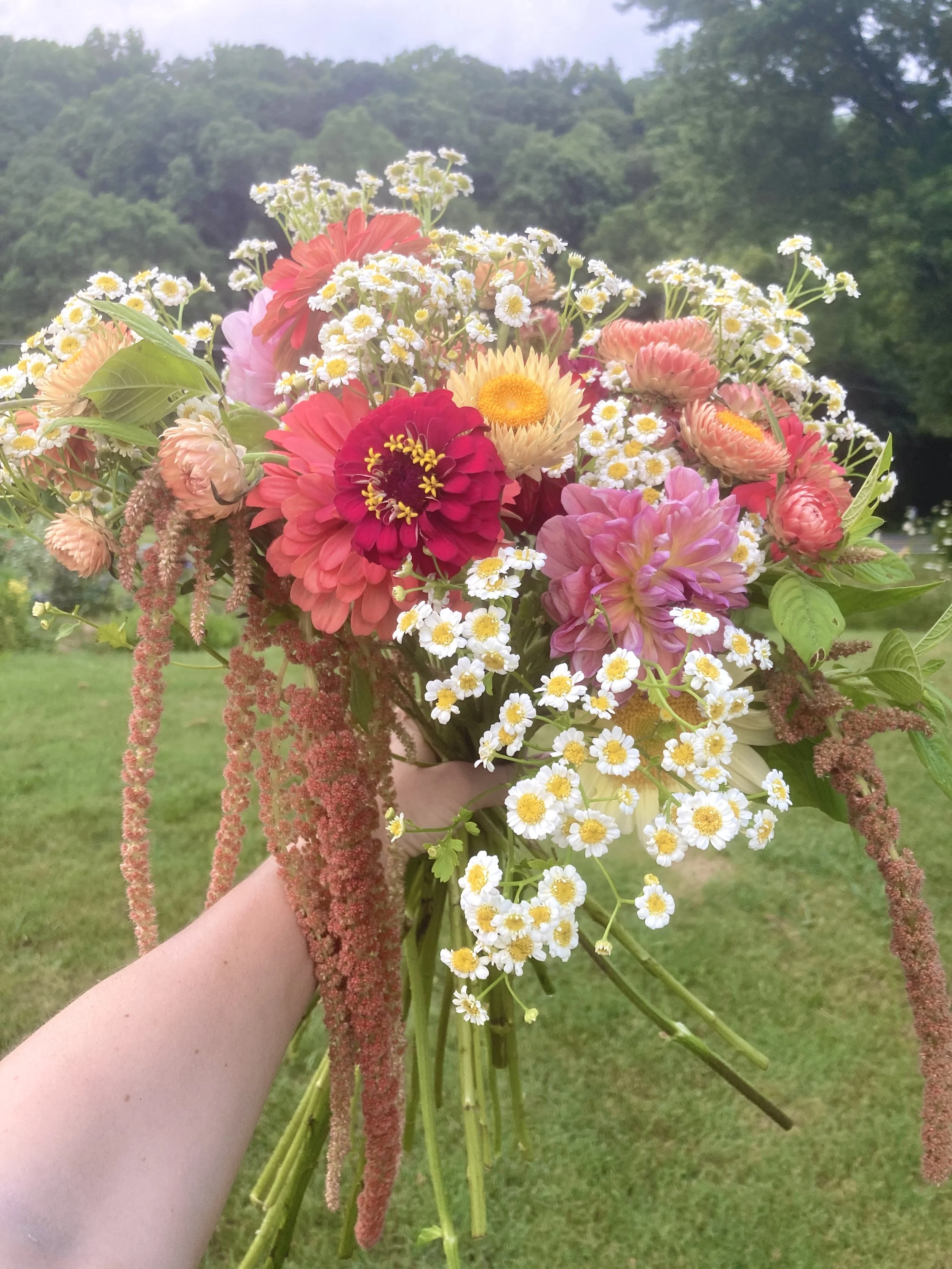 Peaches n' Pinks - Wrapped Bouquet