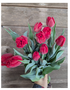 Valentine's Wrapped Tulips
