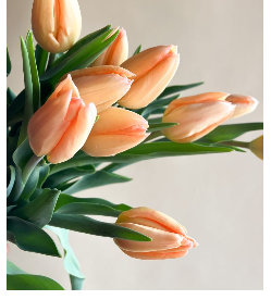 Valentine's Wrapped Tulips
