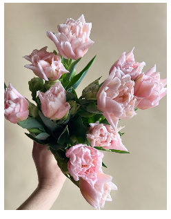 Valentine's Wrapped Tulips