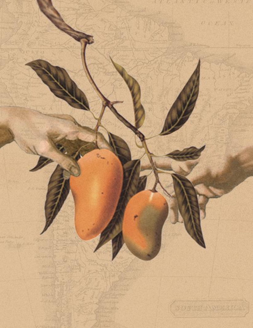 Screen Shot 2023-10-24 at 4.02.24 PM.png