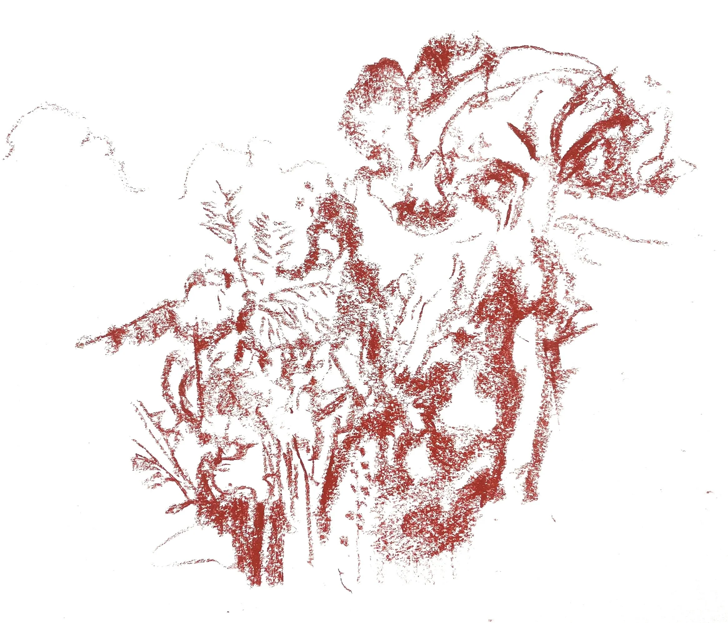 Cairns rainforest from balcony