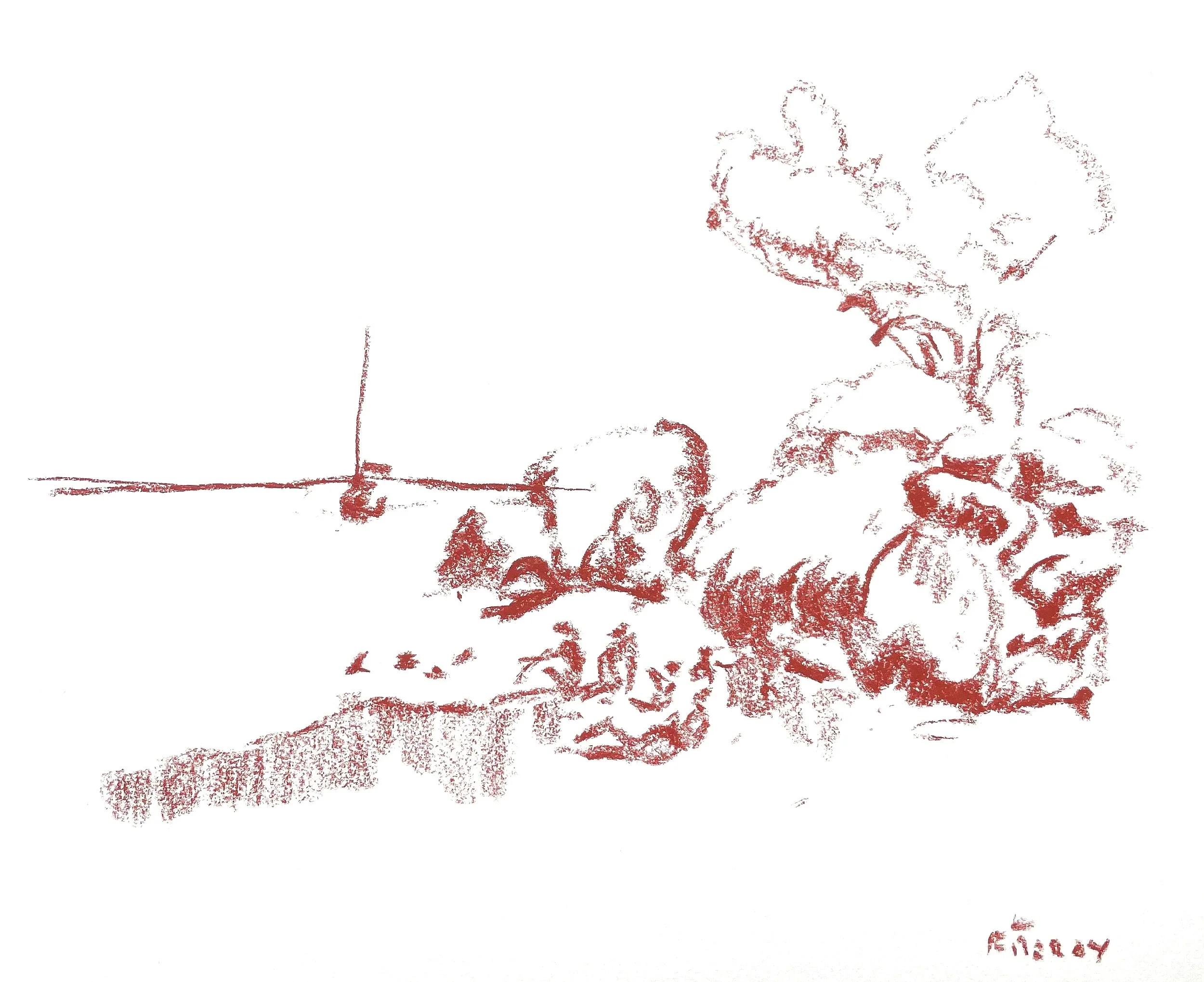 Fitzroy Island sun bakers