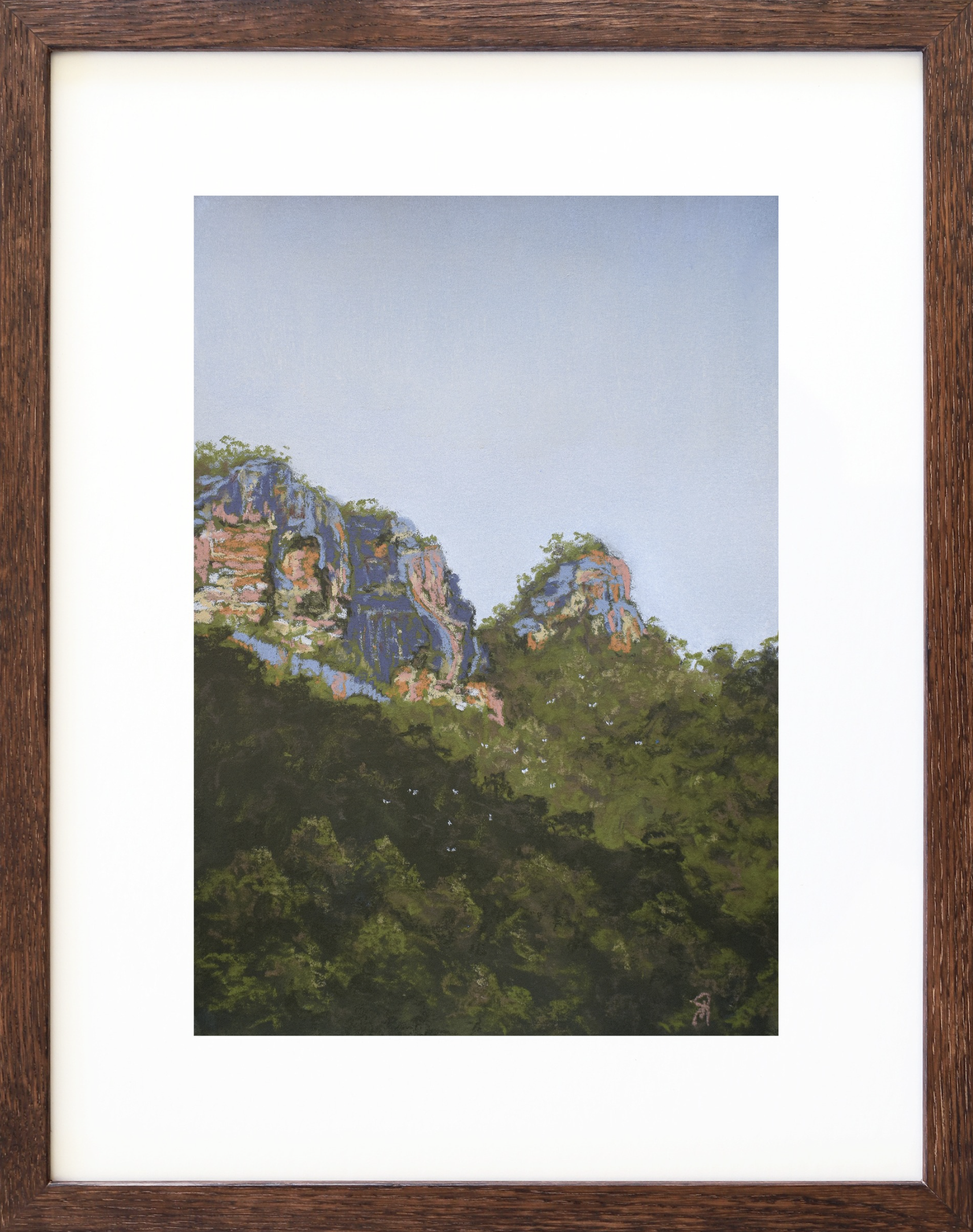 Valley Flight, 2024
Soft Pastel on 340gsm watercolour paper
Image: 34x24cm, Frame: 49x39cm
(sold)