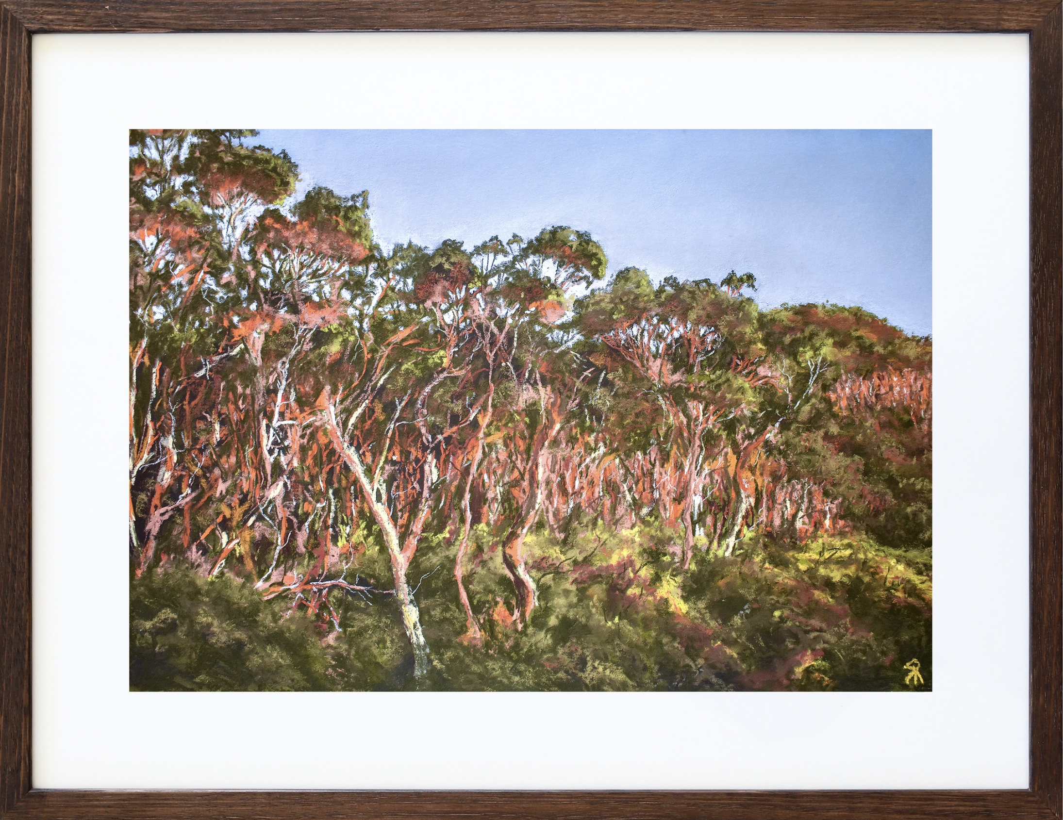 Orange Forest, 2024
Soft Pastel on 340gsm watercolour paper
Image: 34x47cm, Frame: 49x62cm
(sold)