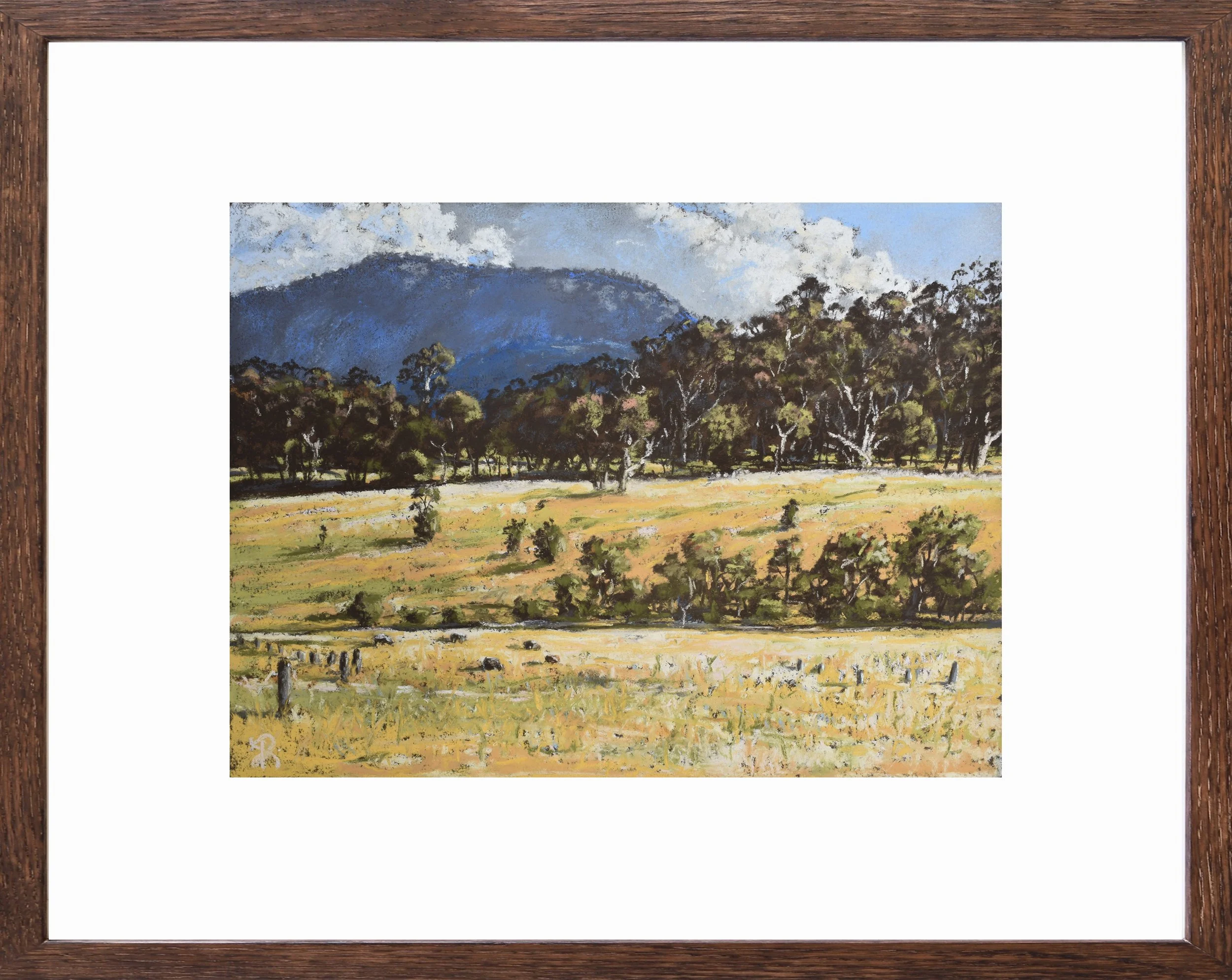Field's of Gold | 2025
Soft Pastel on 340gsm watercolour paper
Image: 29.5x22cm, Frame: 46.5x39cm
(sold)