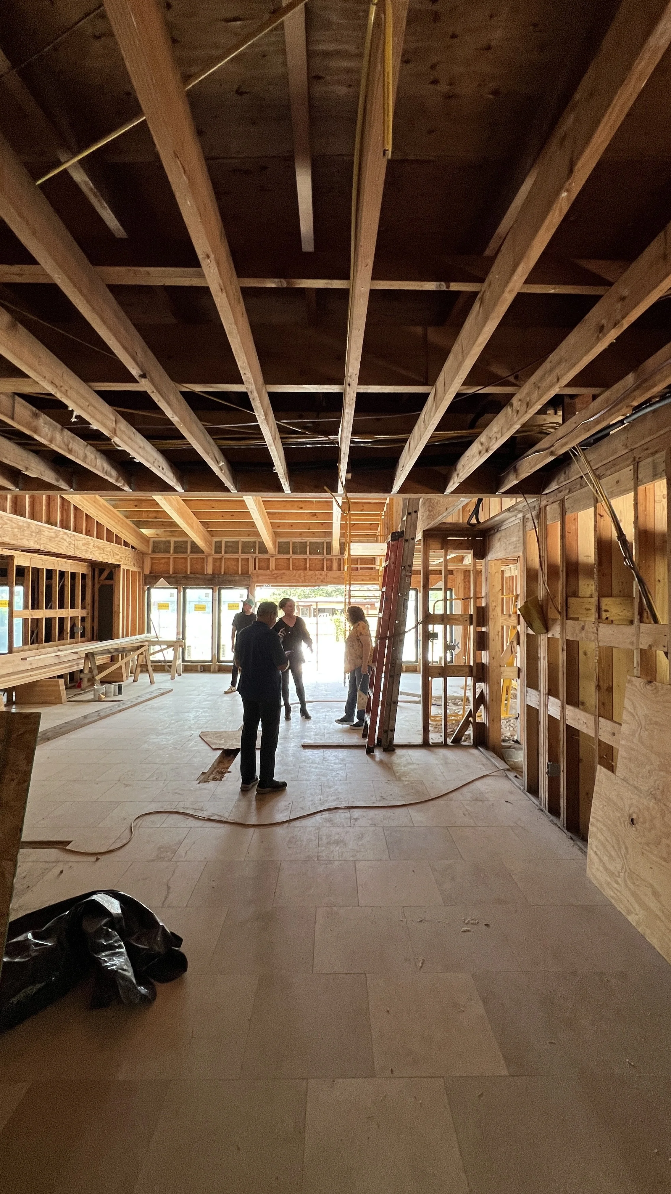 Residential renovation, mid-century modern, in San Antonio, TX. Award-Winning Residential, Commercial, & Hospitality Architecture and Interior Design in Austin, TX.