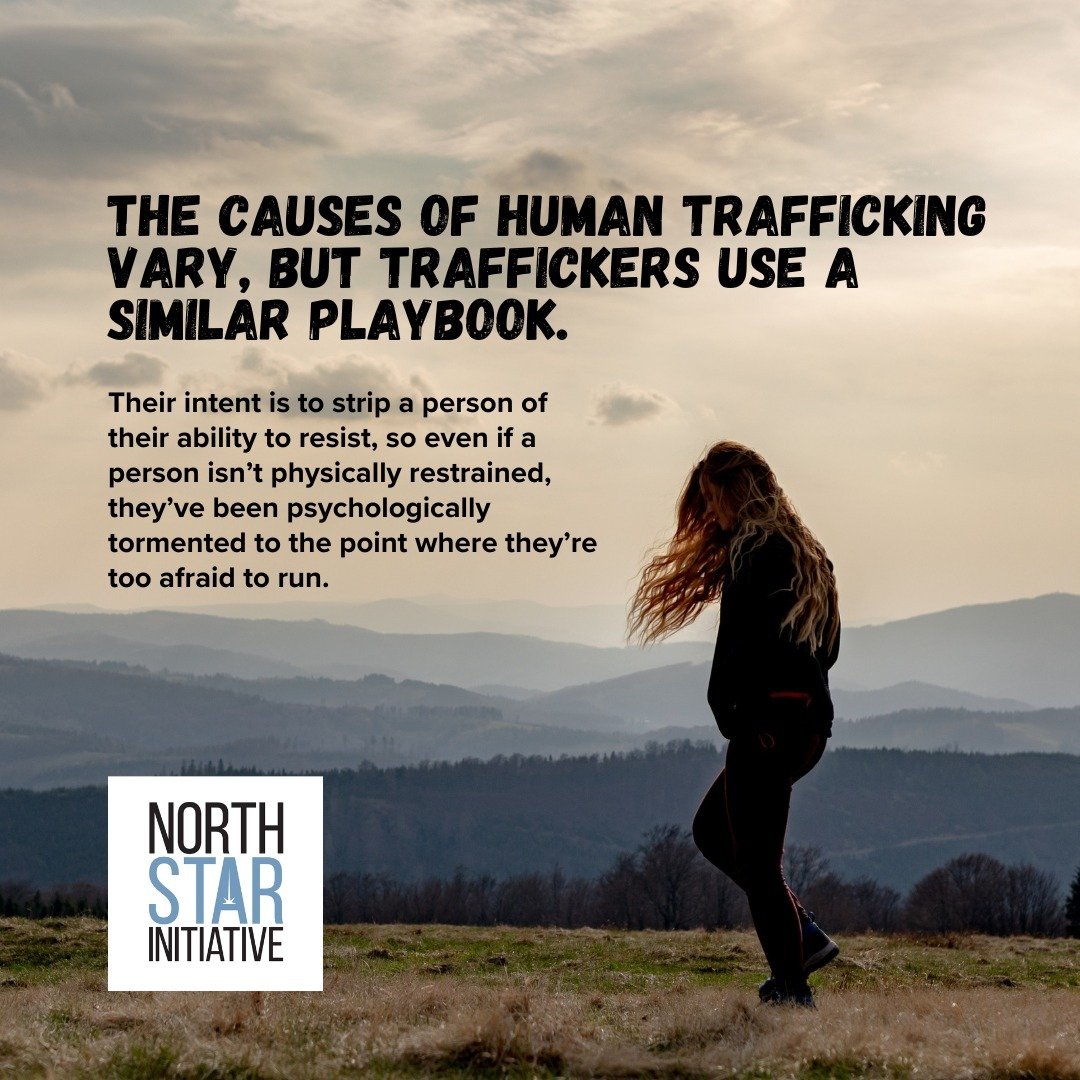 While many are under the impression that poverty drives human trafficking, there are many other factors at play. A lack of education, a lack of support or stability, a lack of job opportunities or basic resources/ necessities, can all contribute as w