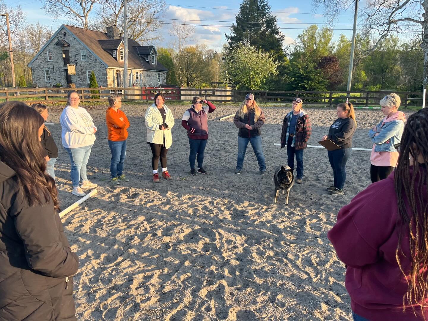 This week NSI staff had the opportunity to take part in a unique equine therapy session to understand the role it plays in empowering our harbor residents on their path to healing. 

This transformative staff training with @takeheartcounseling gave o
