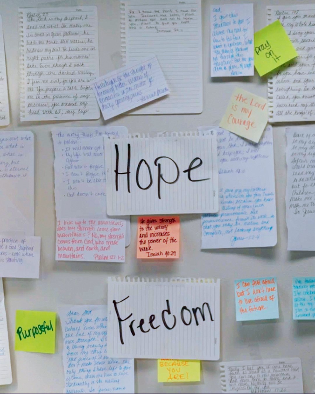 Some stories remind us of the incredible strength it takes to move forward and the hope that be illuminated along the way. 💛

At Light the Way earlier this month, a brave survivor shared her story of hope, including an original poem that moved heart