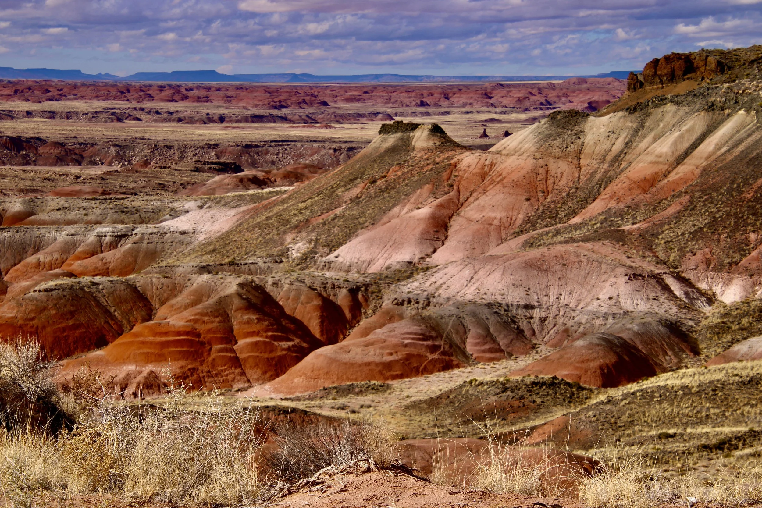 Painted Desert
