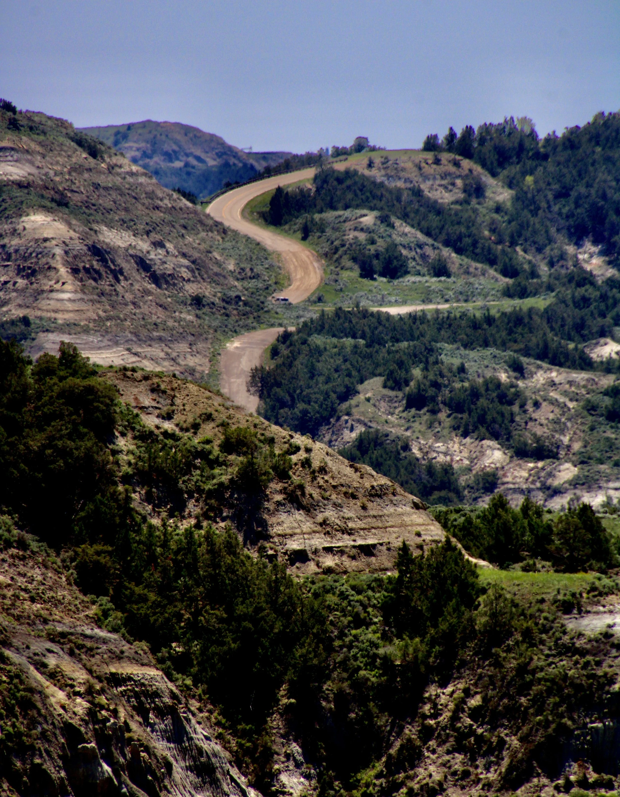Theodore Roosevelt National Park