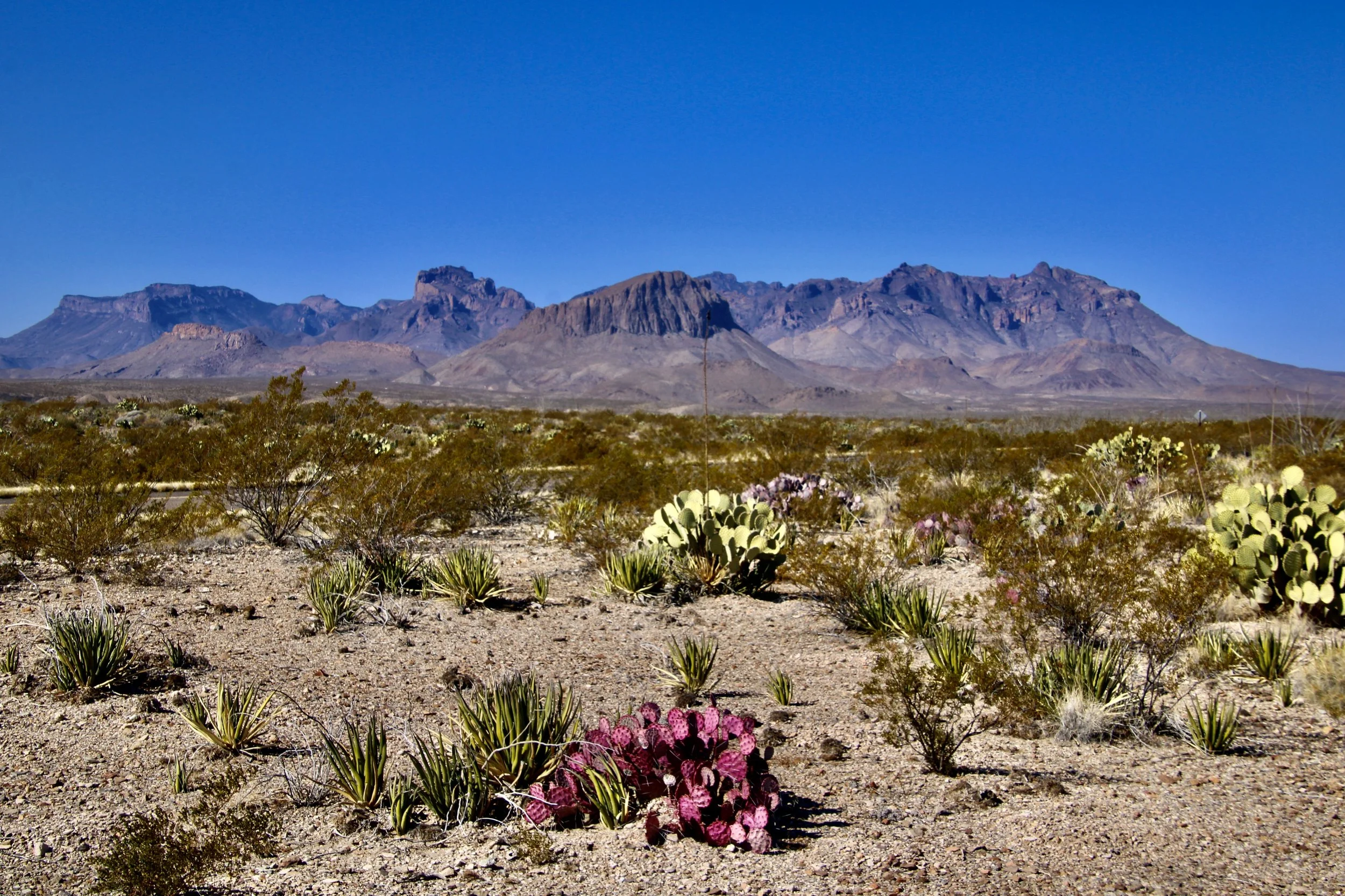 Big Bend