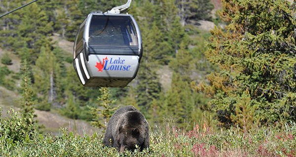 Lake Louise Gondola Ride