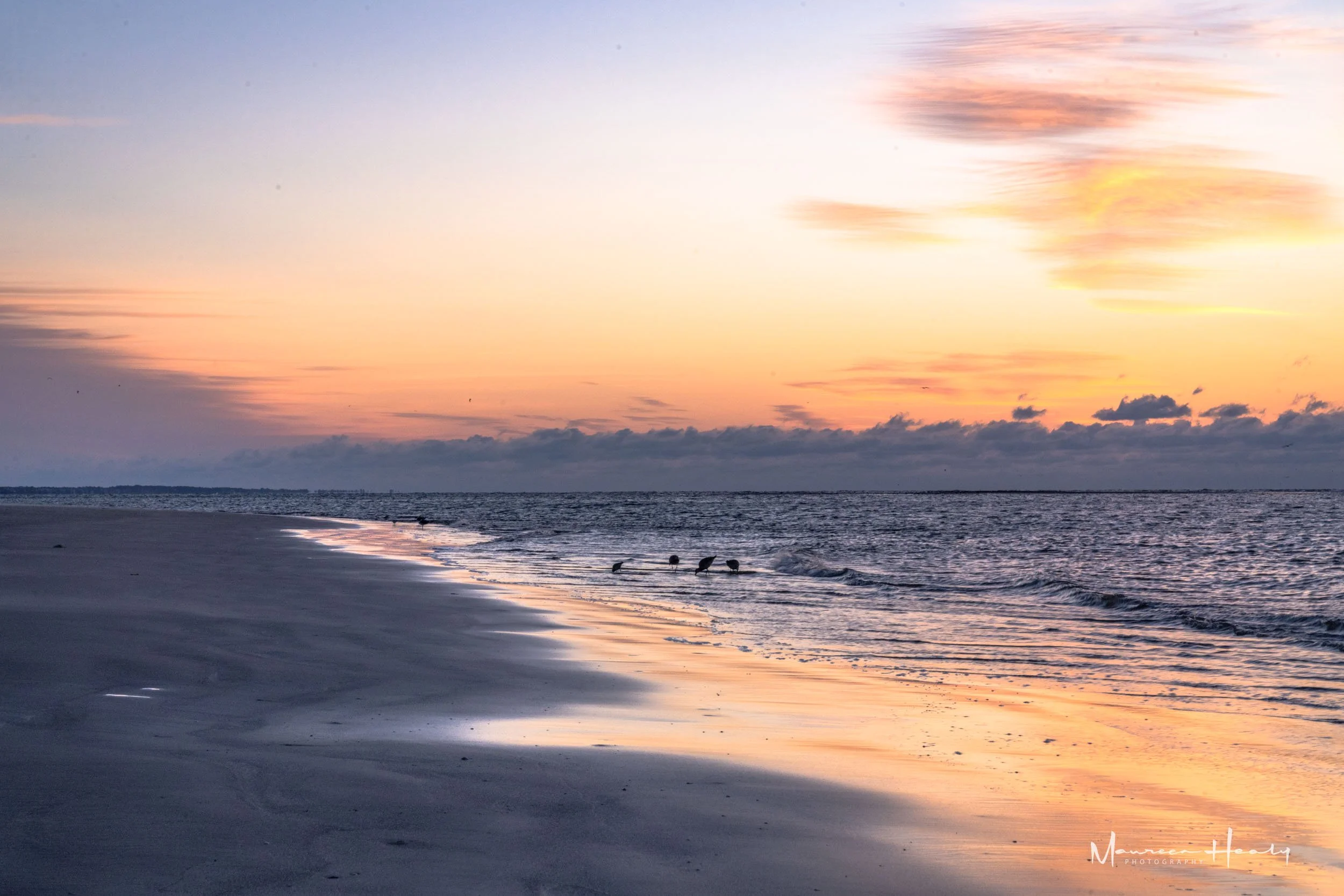 Cotton Candy Sunrise